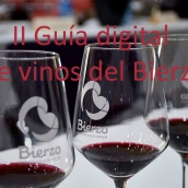 Guía de vinos del Bierzo