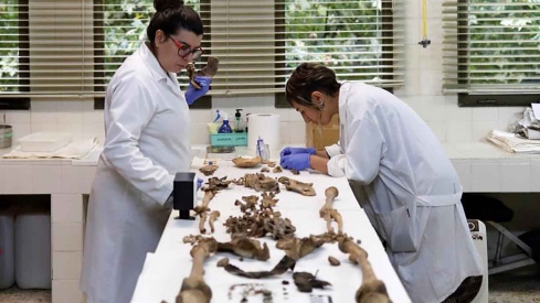 Identificación de las vícticas exhumadas en Ponferrada