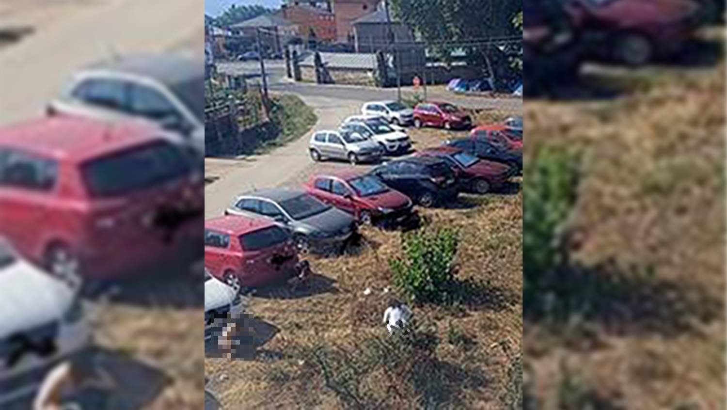 El PP de Cacabelos denuncia la falta de baños portátiles que propició la acumulación de excrementos en el festival Universo | Foto PP Cacabelos El PP de Cacabelos denuncia la falta de baños portátiles que propició la acumulación de excrementos en el festival Universo | Foto PP Cacabelos