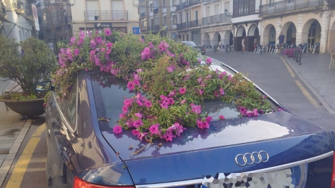 Vandalización jardineras Villafranca del Bierzo| Cedidas a InfoBierzo