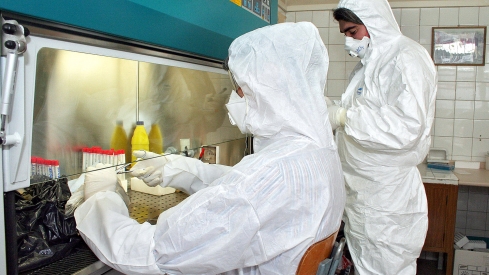 Peio García ICAL . Dos técnicos del Laboratorio Regional ubicado en León analizan muestras de aves para comprobar la existencia del virus de la gripe aviar