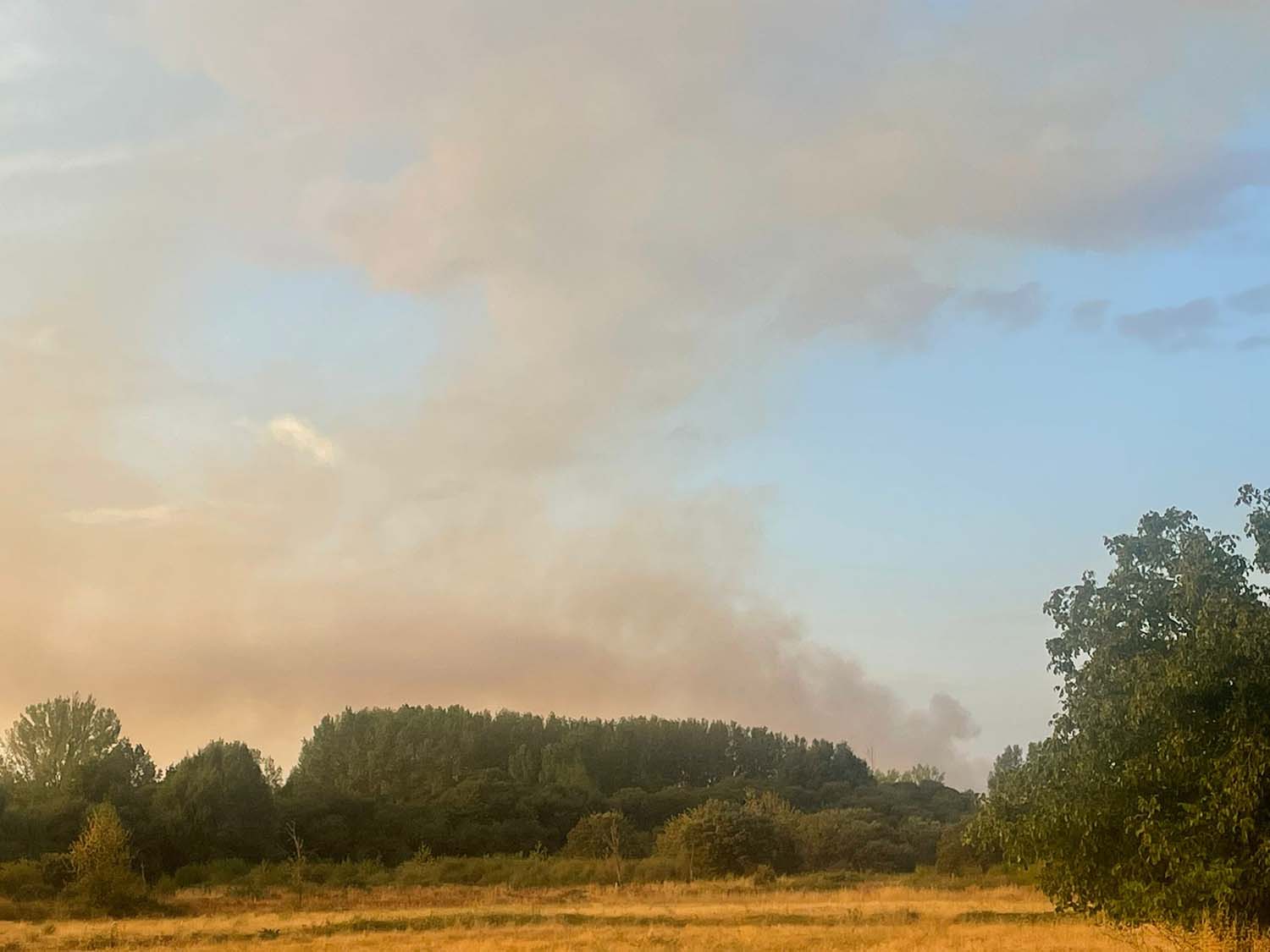 Incendio en Fresnedo Incendio en Fresnedo