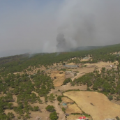 Incendio en San Bartolomé de Pinares (Ávila)