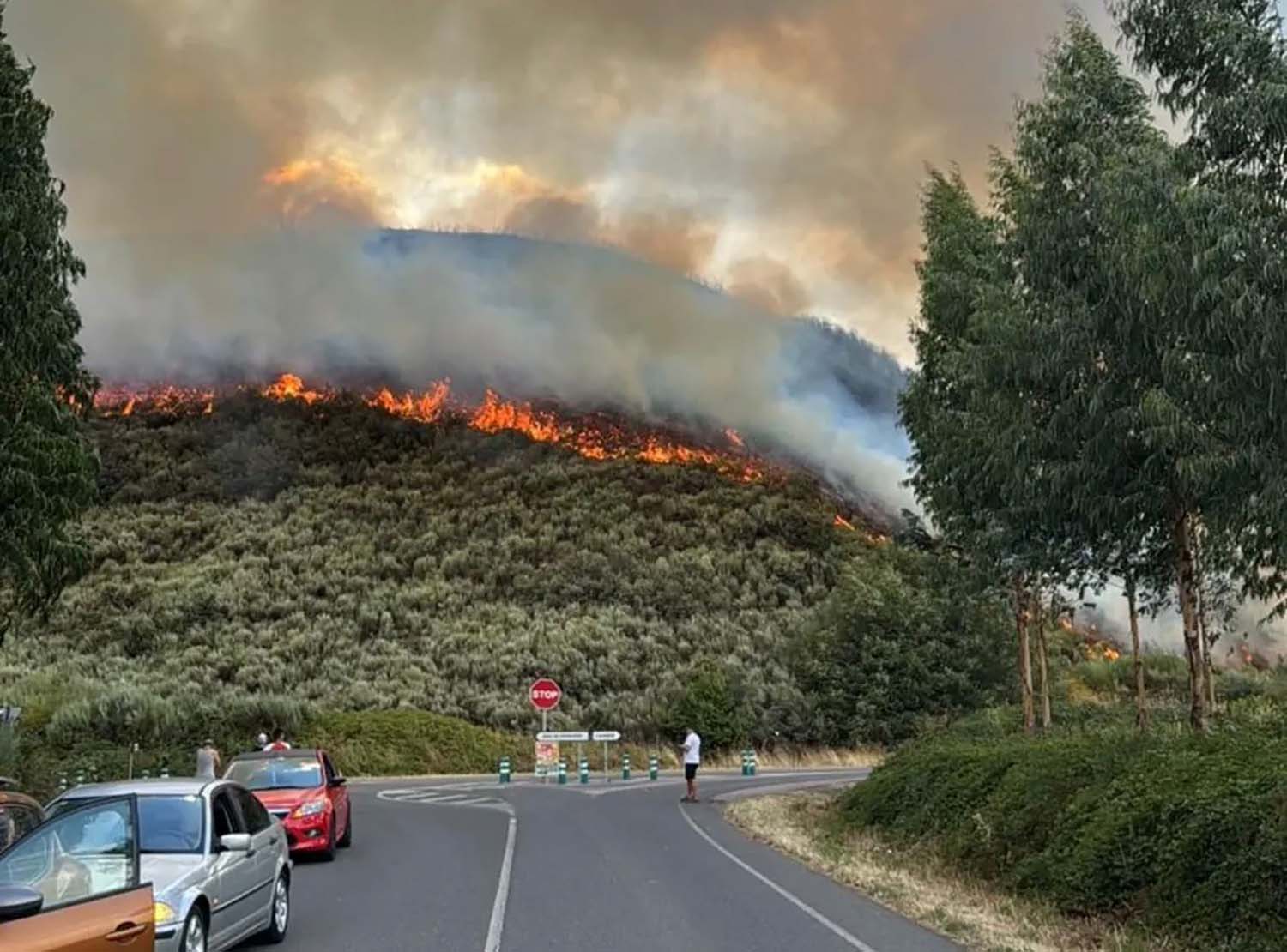 Incendio Sésamo. Imágenes de la RB Ancares Leoneses | Controlado el incendio forestal en Sésamo (Vega de Espinareda) Incendio Sésamo. Imágenes de la RB Ancares Leoneses | Controlado el incendio forestal en Sésamo (Vega de Espinareda)