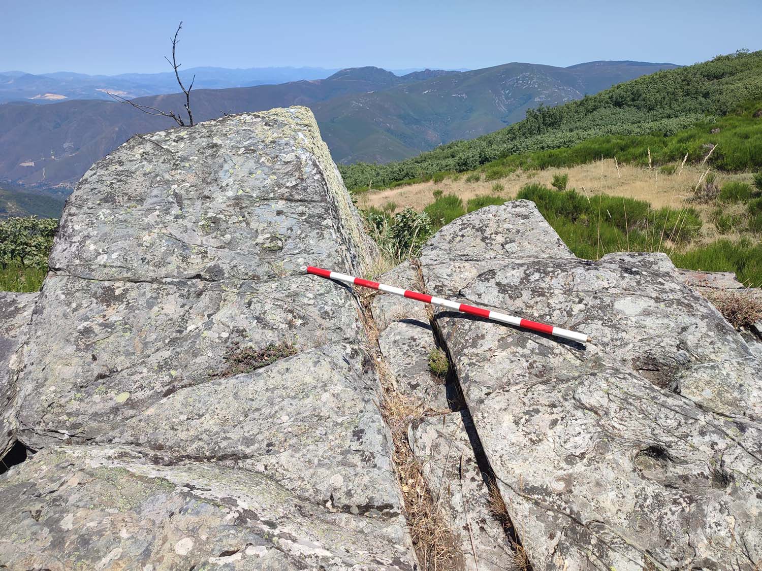 hallazgo cabrera 2 hallazgo cabrera 2