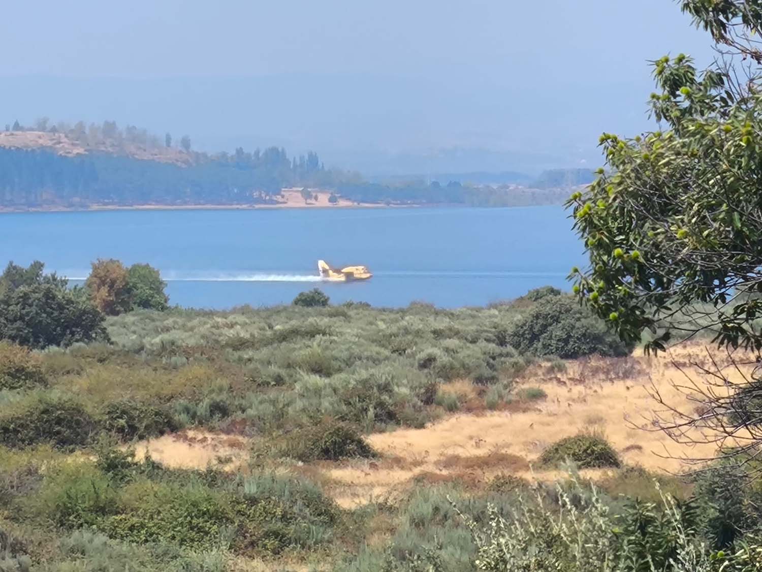 Incendio de este domingo en Villaverde de los Cestos