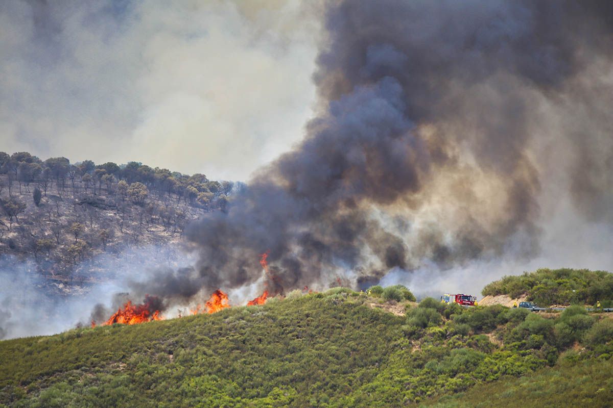 Incendio en Figueruela de Arriba, en la sierra de la culebra