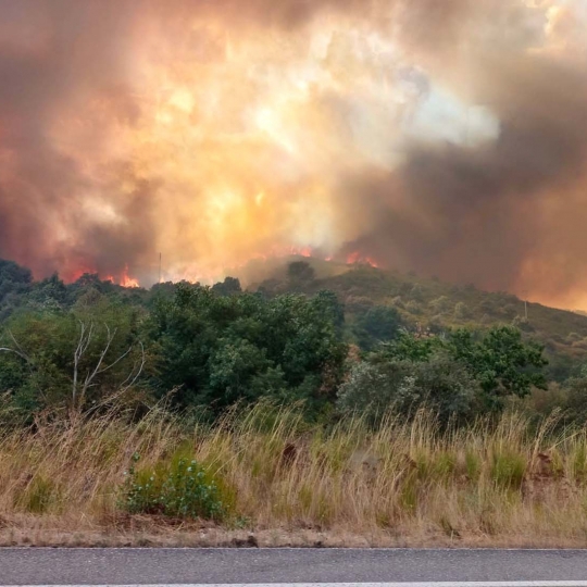 El incendio de Las Médulas sigue en una situación "complicada" y podría unirse con el de Llamas de Cabrera, ambos en nivel 2 El incendio de Las Médulas sigue en una situación "complicada" y podría unirse con el de Llamas de Cabrera, ambos en nivel 2