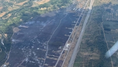 Incendio Villaverde de los cestos