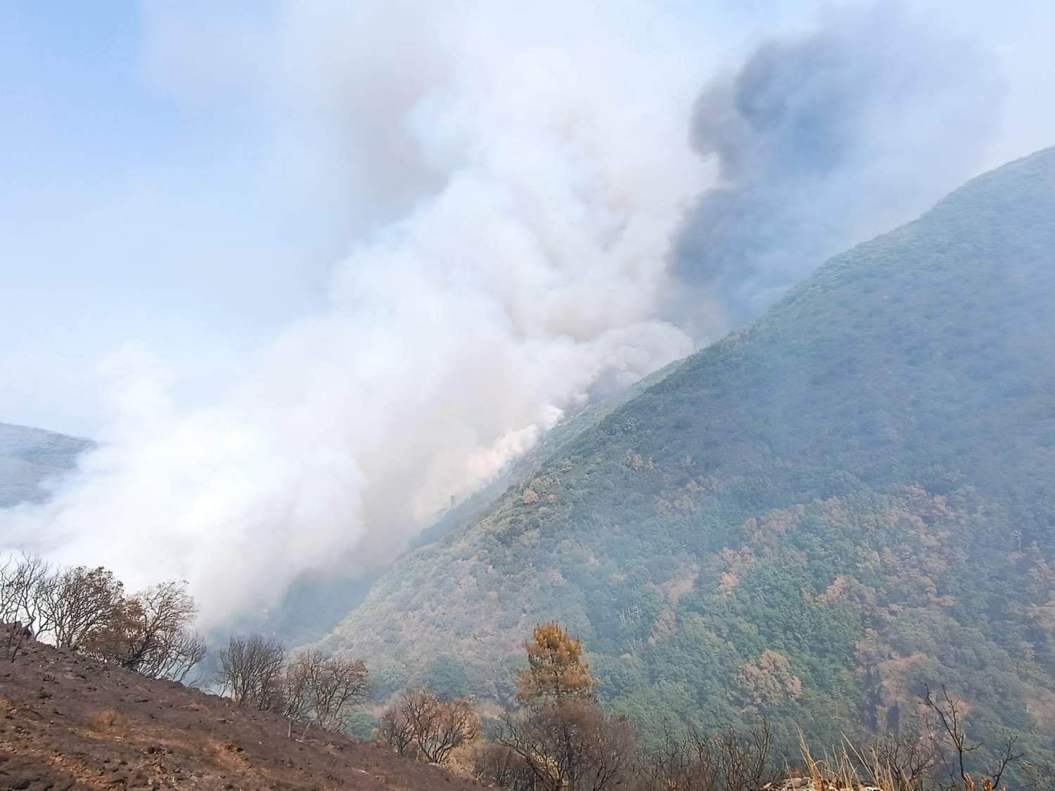 GyFKsEsW8AA70Zx GyFKsEsW8AA70Zx