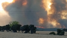 Un voluntario que donó una desbrozadora para la extinción del incendio de Castrocalbón pierde la vida en Nogarejas (León)