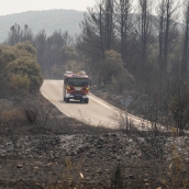 Carucedo aprueba en pleno solicitar ayudas al Gobierno central y a la Junta como zona catastrófica | César Hornija / ICAL 