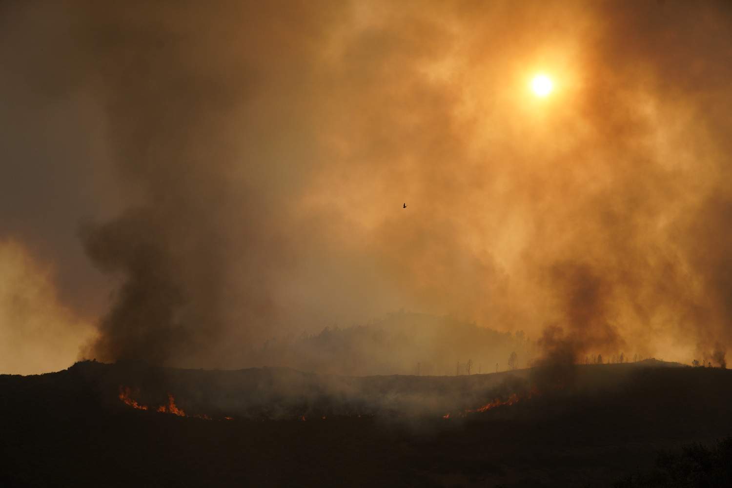 Incendio de Paradiña | César Hornija / ICAL | Los incendios del Bierzo desploman la calidad del aire en la Comarca: Recomendaciones y evitar actividades en la calle