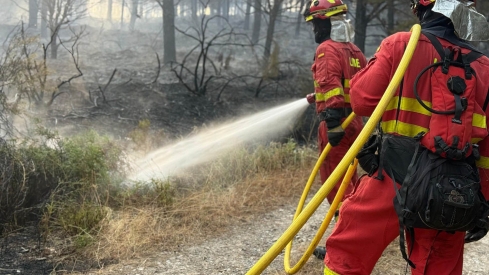 Unidades de la UME en el incendio de Yeres-Llamas de Cabrera |