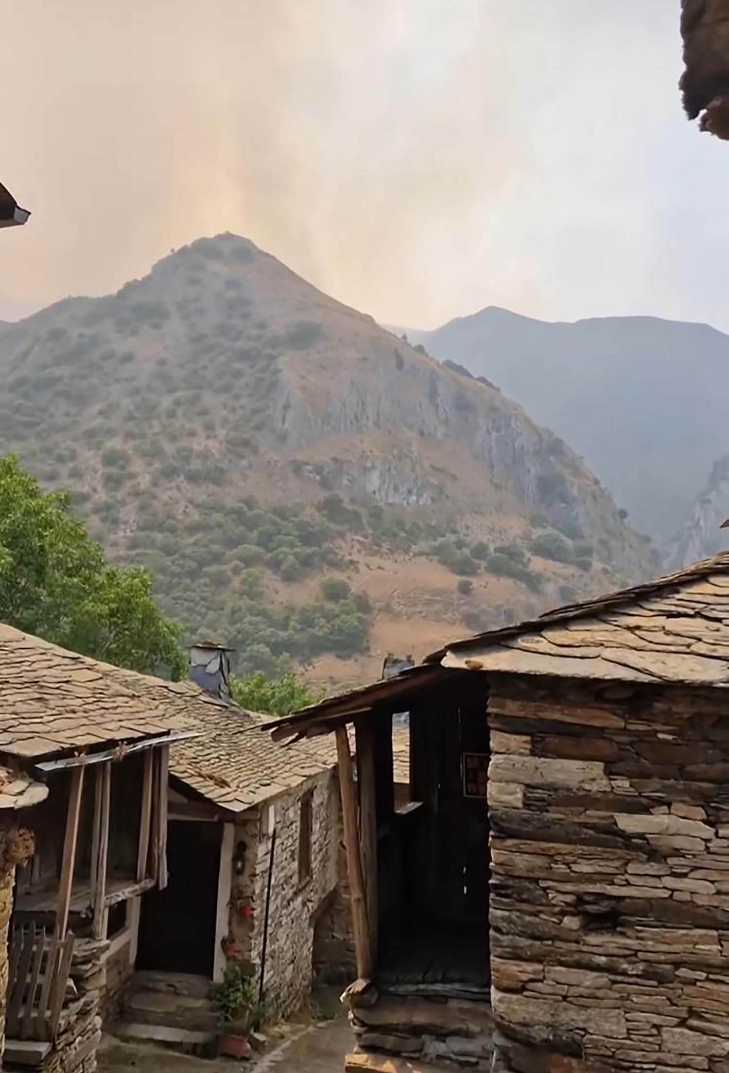 cantina de peñalba icendio