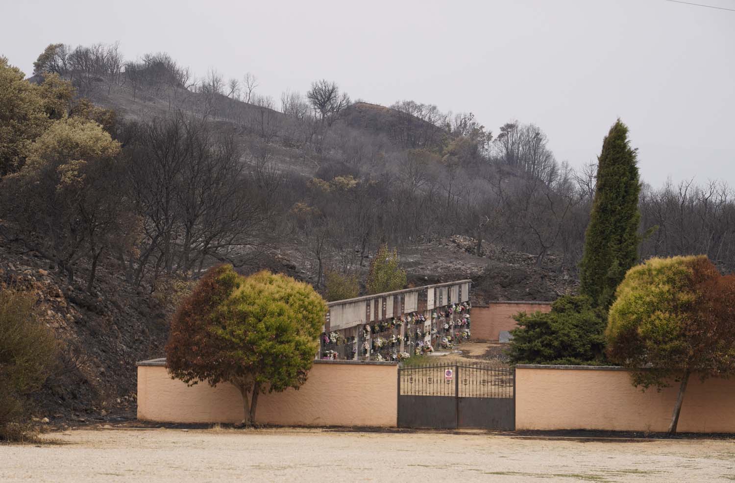 César HornijaICAL. Efectos del incendio en Las Médulas (14) César HornijaICAL. Efectos del incendio en Las Médulas (14)