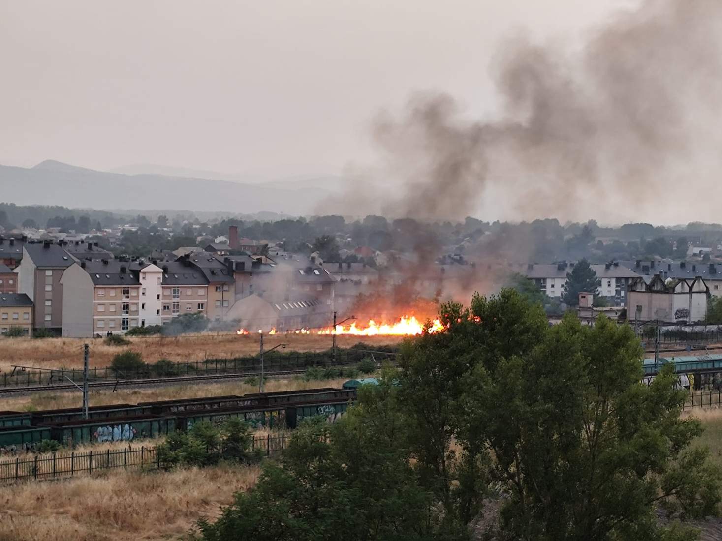 Incendio en Flores del Sil (7)