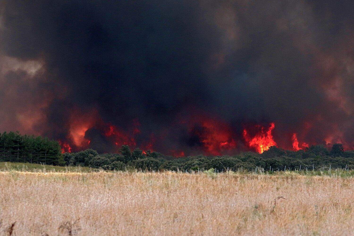 El incendio de Molezuelas de la Carballeda (Zamora) a su paso por Herreros de Jamuz (León) | Peio García (ICAL) El incendio de Molezuelas de la Carballeda (Zamora) a su paso por Herreros de Jamuz (León) | Peio García (ICAL)
