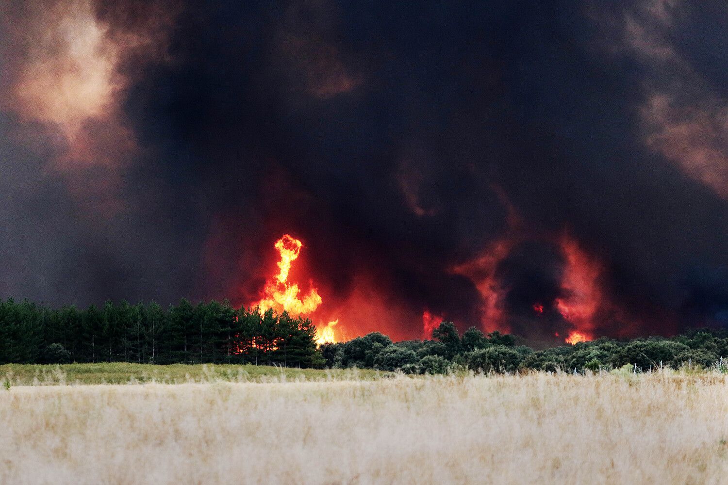 El incendio de Molezuelas de la Carballeda (Zamora) a su paso por Herreros de Jamuz (León) | Peio García (ICAL)