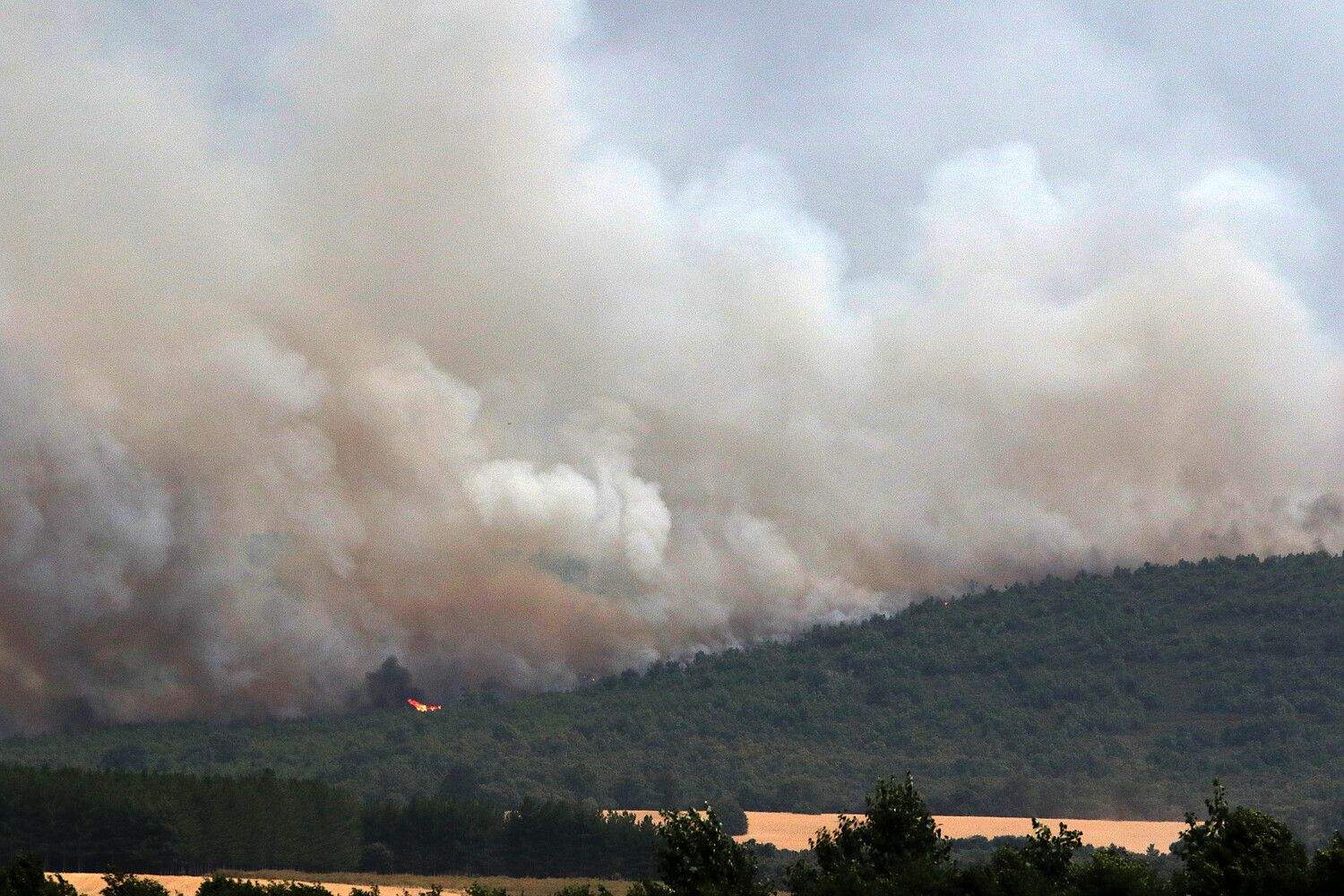 El incendio de Molezuelas de la Carballeda (Zamora) a su paso por Herreros de Jamuz (León) | Peio García (ICAL) El incendio de Molezuelas de la Carballeda (Zamora) a su paso por Herreros de Jamuz (León) | Peio García (ICAL)