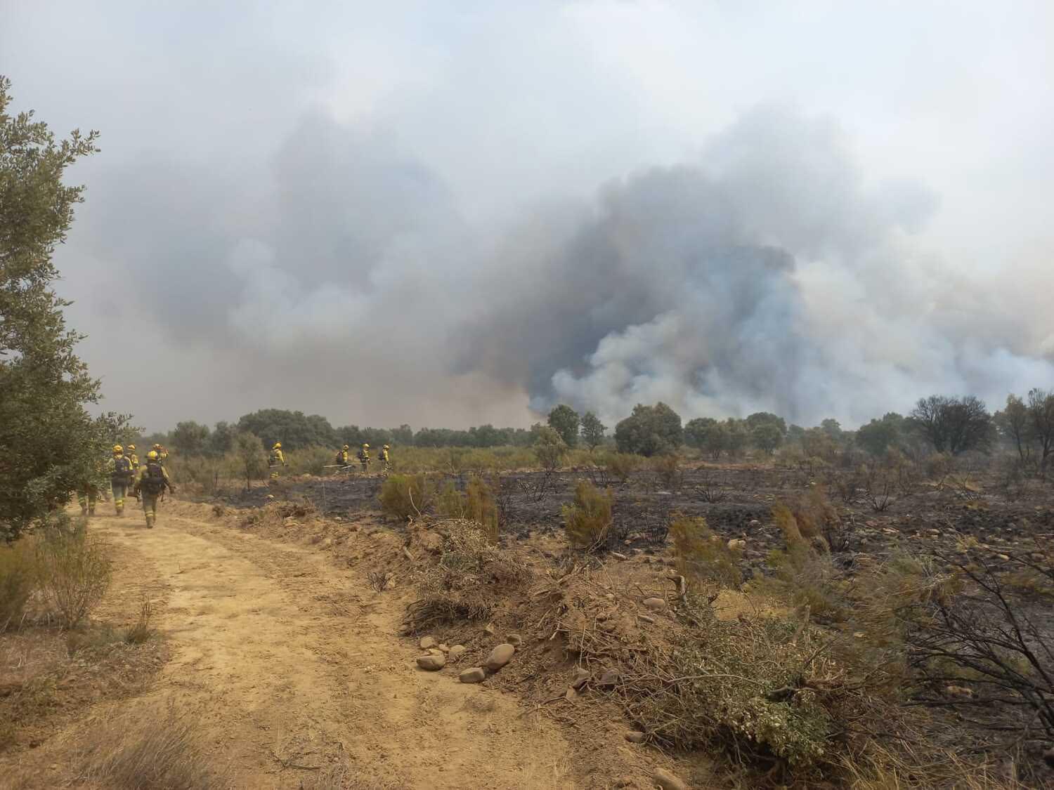 evacuados molezuelas evacuados molezuelas