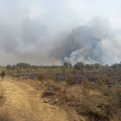 Más de 5.000 evacuados: El incendio de Molezuelas de la Carballeda (Zamora) arrasa en la provincia de León | AT Brif