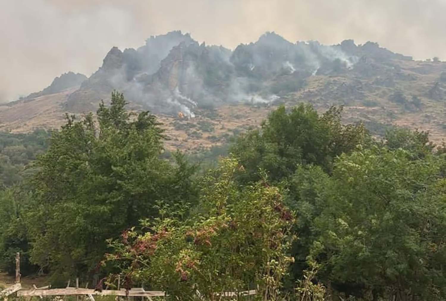 Incendio en Priaranza del Bierzo
