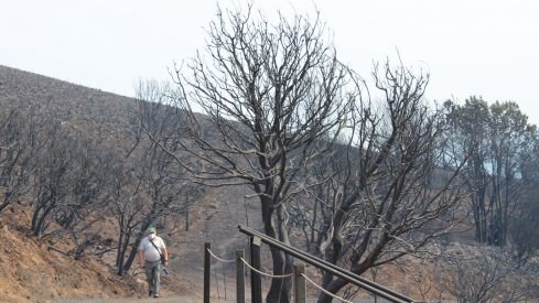 Incendio Médulas (1)