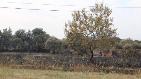 Incendio Médulas (2)