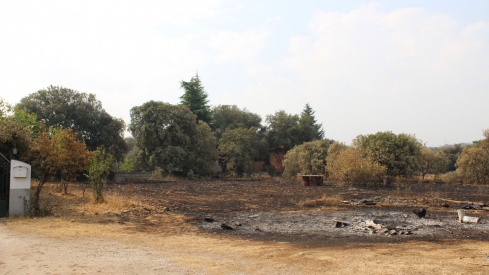 Incendio Médulas (8)