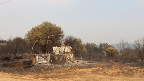 Incendio Médulas (15)