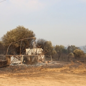 Incendio Médulas (15)