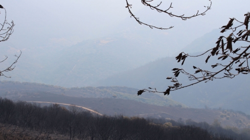 Incendio Médulas (19)