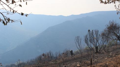 Incendio Médulas (20)