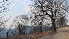 Incendio de Las Médulas 