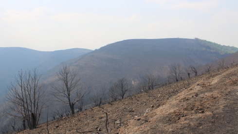 Incendio Médulas (24)