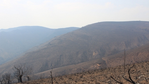 Incendio Médulas (25)