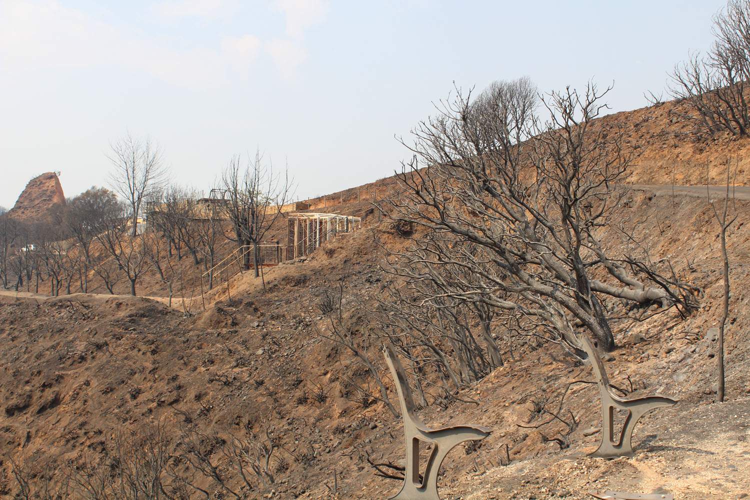Incendio Médulas (27)