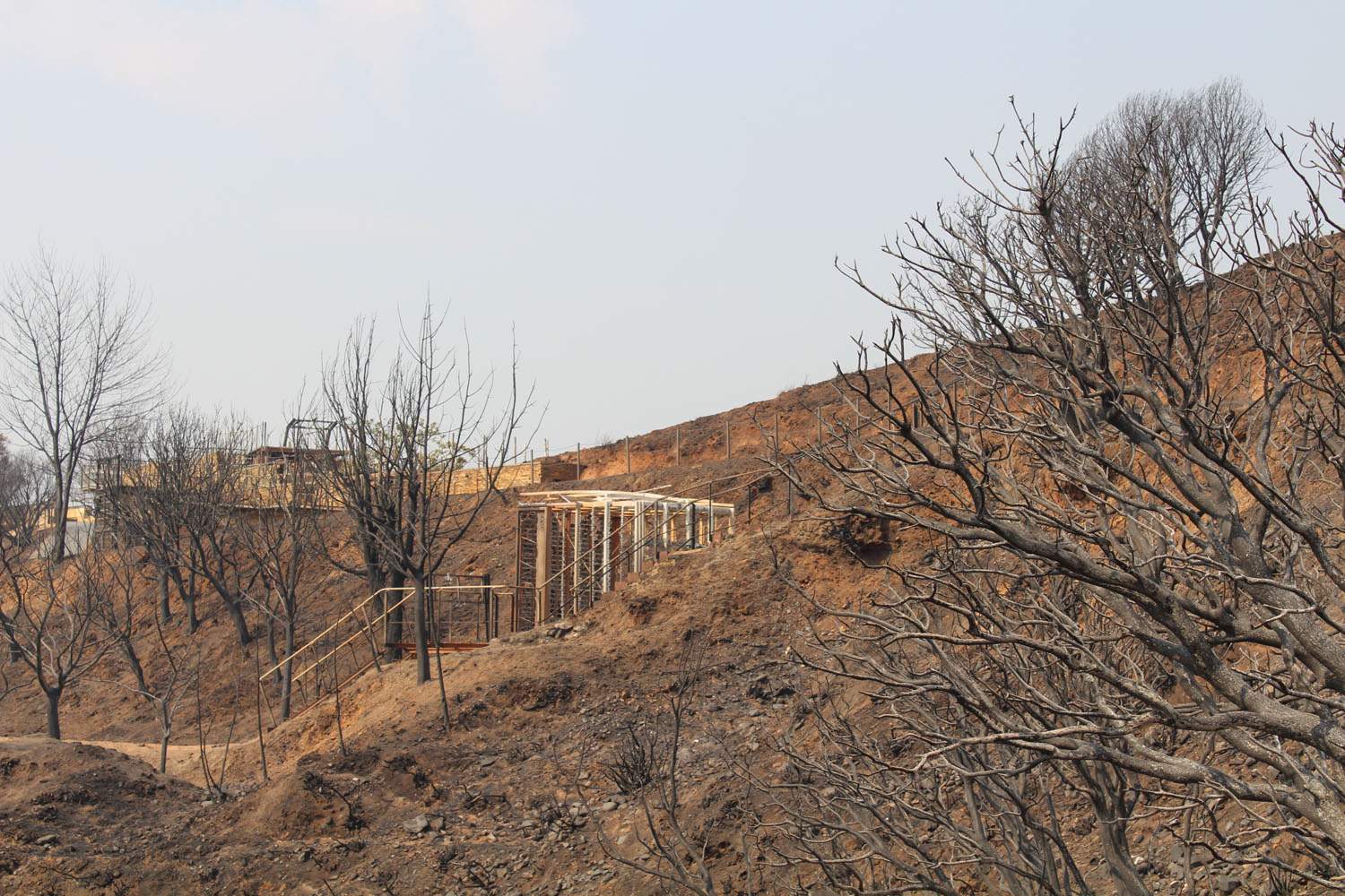 Incendio Médulas (28)