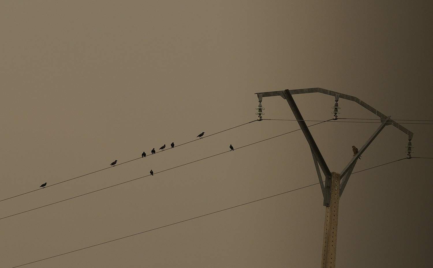 Humo por incendios en Ponferrada 2 Humo por incendios en Ponferrada 2