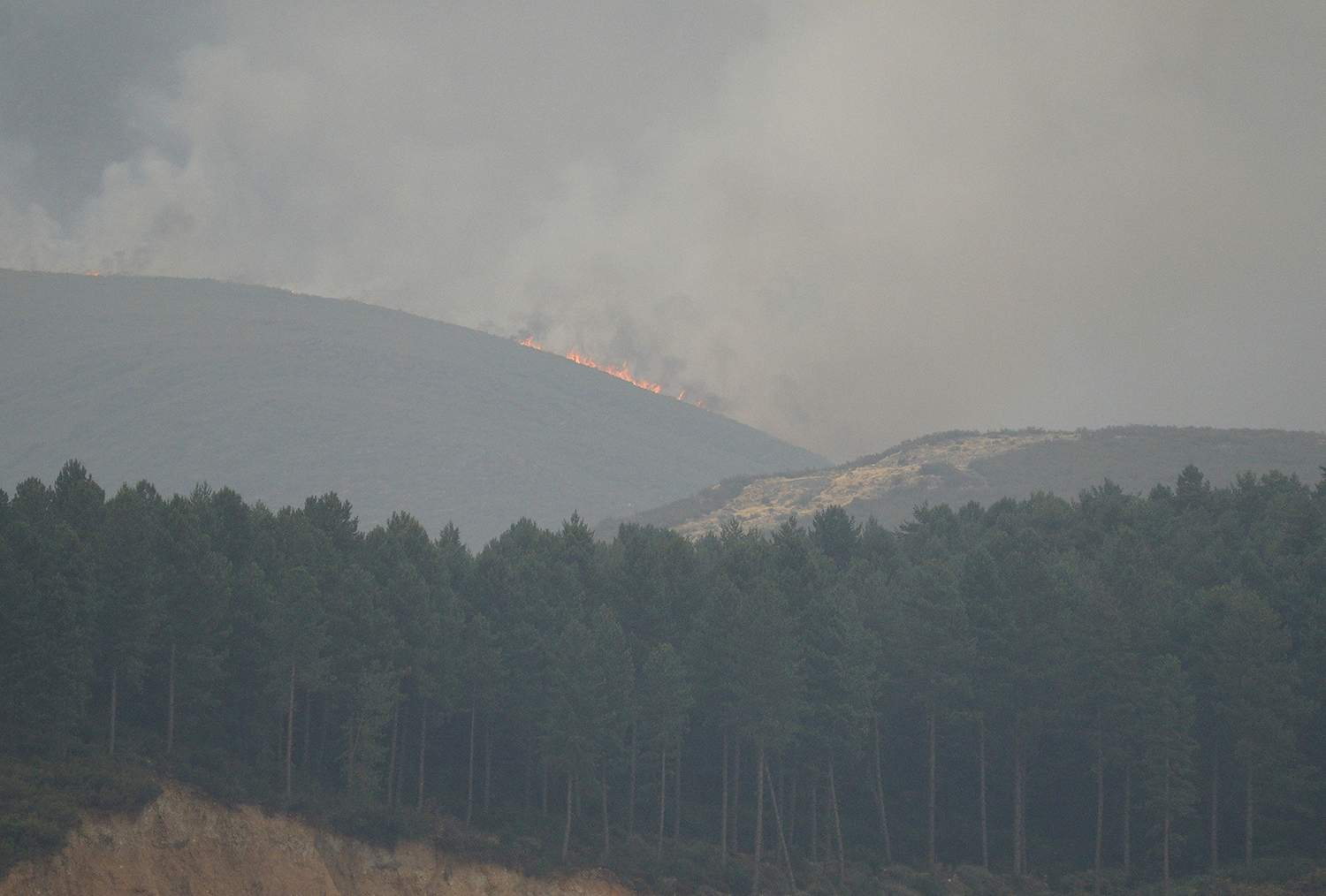 César Hornija / ICAL . Incendio en Anllares del Sil