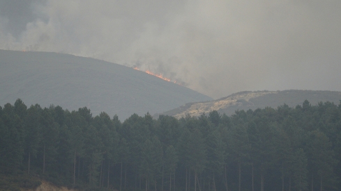 César Hornija / ICAL . Incendio en Anllares del Sil