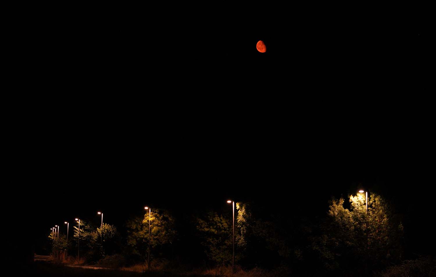 roja luna ponferrada