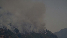 Incendio forestal en Fasgar que afecta a la localidad de Salientes