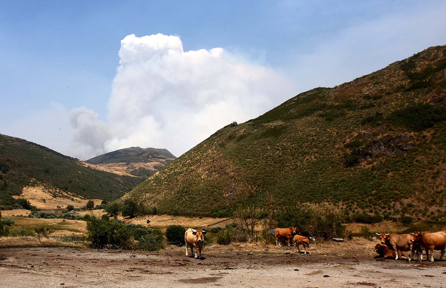 Incendio en Orallo. César Hornija. ICAL | El alcalde de Villablino pide inmediatez en las ayudas a los afectados por los incendios