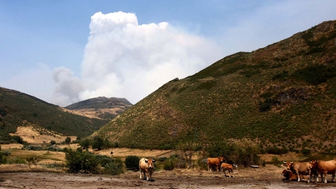 Incendio en Orallo. César Hornija. ICAL | El alcalde de Villablino pide inmediatez en las ayudas a los afectados por los incendios