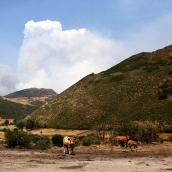 Incendio en Orallo. César Hornija. ICAL | El alcalde de Villablino pide inmediatez en las ayudas a los afectados por los incendios