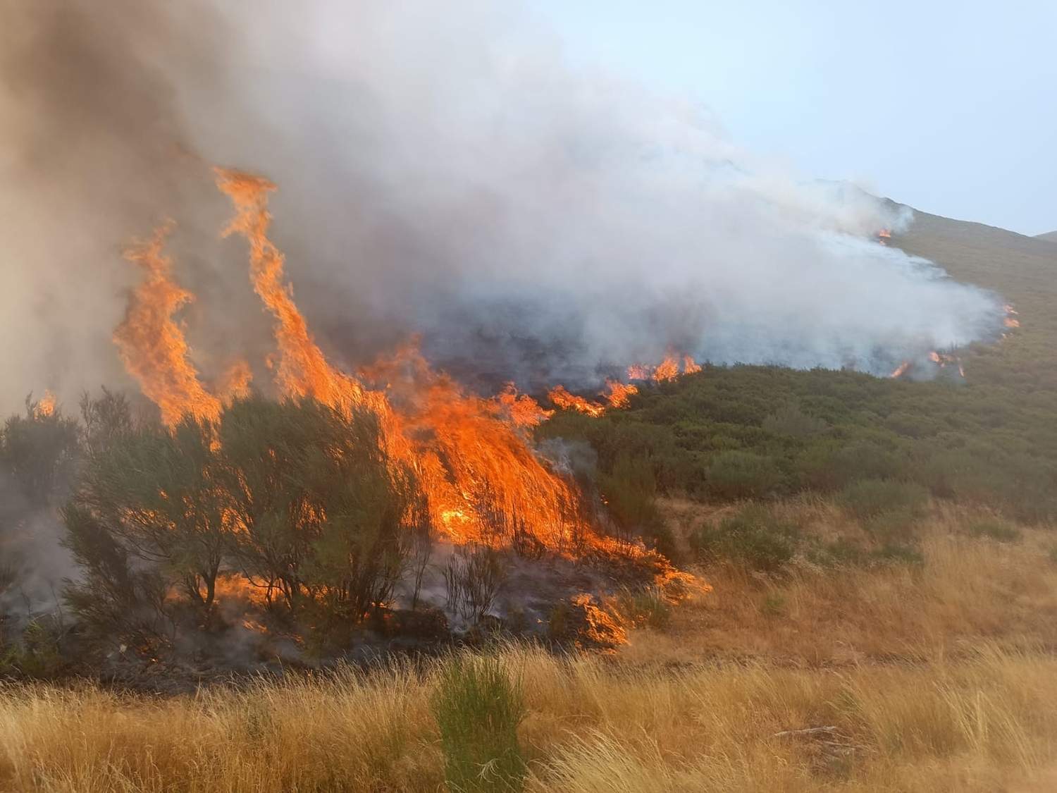 El incendio de Yeres/Llamas de Cabrera se complica: Desalojados los vecinos de Espinoso de Compludo, San Cristóbal y Manzanedo de Valdueza