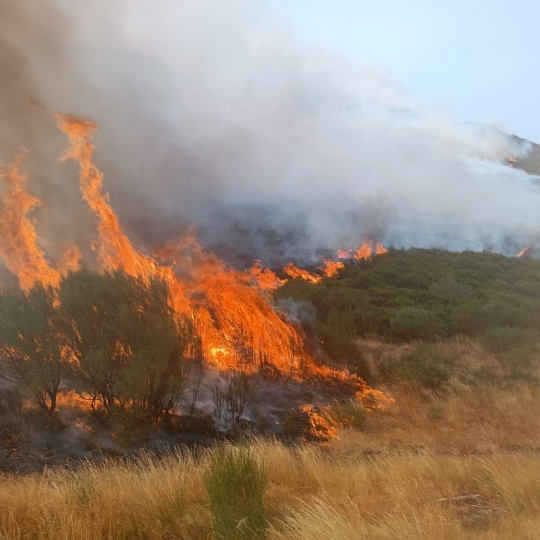 El incendio de Yeres/Llamas de Cabrera se complica: Desalojados los vecinos de Espinoso de Compludo, San Cristóbal y Manzanedo de Valdueza