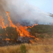 El incendio de Yeres/Llamas de Cabrera se complica: Desalojados los vecinos de Espinoso de Compludo, San Cristóbal y Manzanedo de Valdueza